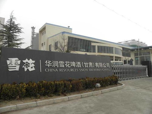 酒訊策劃 四年關(guān)閉30家工廠 華潤(rùn)啤酒 割肉 之路還要走多久