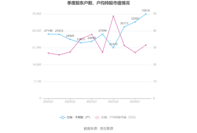 上海瀚訊2024年上半年業(yè)績分析 營收下滑與戰(zhàn)略轉(zhuǎn)型下的陣痛